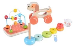 Cangaroo Houten Activiteiten Speelgoed Set 2203