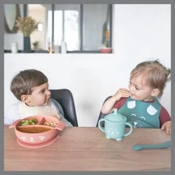 Babymoov Learn'Isy Vos Kinderservies Set Incl. Silicone Slab A005402 -Babyproducten  Winkel babymoov learnisy vos kinderservies set incl. silicone slab a005402 7