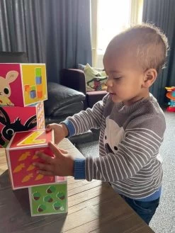 Bambolino Toys Bing Stapelkubussen 19073 -Babyproducten  Winkel bambolino toys bing stapelkubussen 19073 11