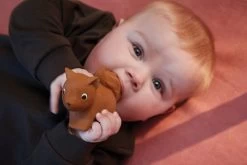 Filibabba Sonja The Squirrel Natuurrubber Bijtspeeltje FILI-SONJATEETH_1_02213 -Babyproducten  Winkel filibabba sonja the squirrel natuurrubber bijtspeeltje fili sonjateeth 1 02213 6