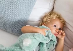 Happy Horse Rabbit Richie Mint 38 Cm No. 2 Knuffel 131690 -Babyproducten  Winkel happy horse rabbit richie mint 1