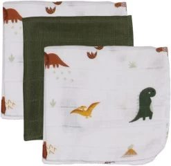 Blush & Blossom Dinosaurus Hydrofiel Starterset TR-BB443418 -Babyproducten  Winkel muslin mouth cloths set dinosaur blush blossom 00