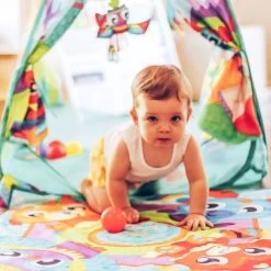 Playgro Convert Me Teepee Ball Activity Speelkleed P0187626 -Babyproducten  Winkel playgro teepee ball 3 in 1 activiteiten gym ballenbak 0187626 6