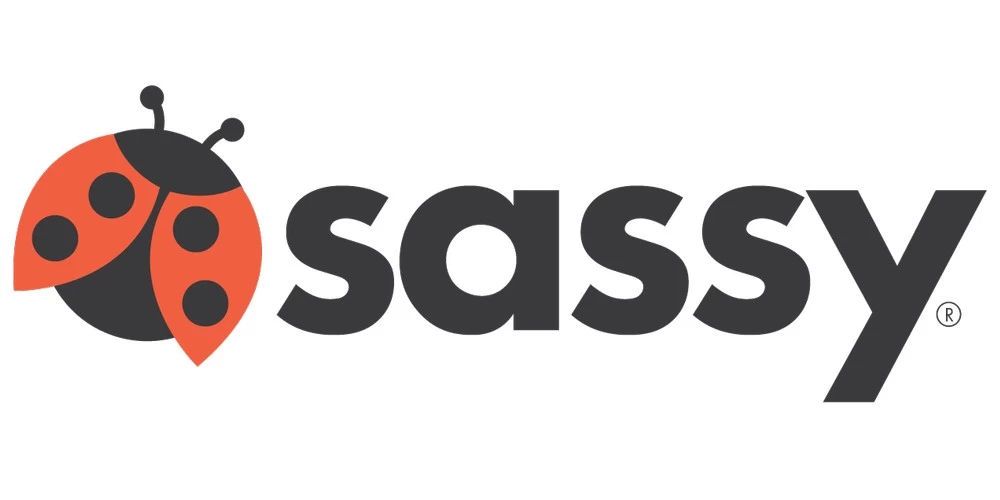 Sassy Multicolor Magnetische Stapeltoren S80902 4 Sassy Multicolor Magnetische Stapeltoren S80902 - Afbeelding 2