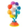 Sassy Light Up Regenboog Reuzenrad Educatief Kinderstoel Speelgoed S80901 -Babyproducten  Winkel sassy light up regenboog reuzenrad educatief speelgoed s80901