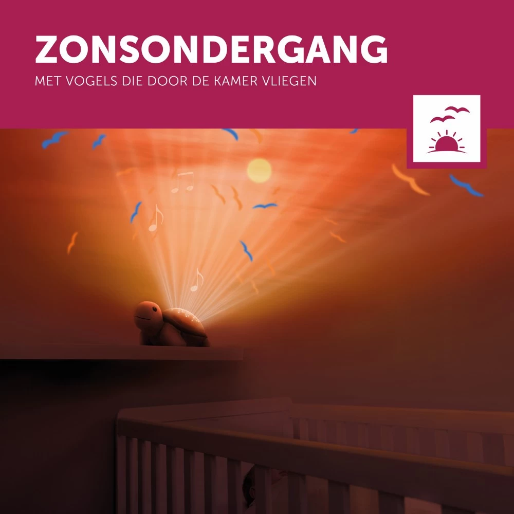 Zazu Tim De Schildpad Zonsondergang Projector ZA-TIM-01 7 Zazu Tim De Schildpad Zonsondergang Projector ZA-TIM-01 - Afbeelding 5